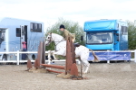 SBM_14593
