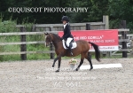 NOVICE 2 portfolio