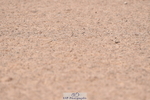 230720A-094400-01458