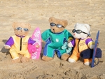 Surfs Up