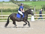 BPP_1485
