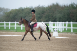 SBM_003398