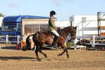 SBM_07890