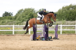 SBM_003464