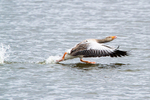 20130421-_MG_3041