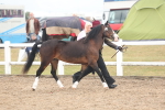 SBM_08424