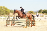 SBM_004341