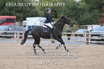 BPP_7266