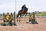 BPP_3729