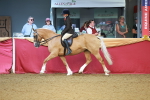 SBM_09488