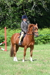 Class 9 Pony Club Pony portfolio