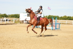 SBM_002593