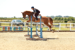 SBM_006495