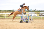 SBM_002995