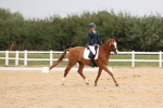 SBM_00727