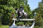 311-BALLYCOSKERRY_REGAL_DIAMOND-Hollie_Swain-XC portfolio
