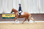 SBM_010337