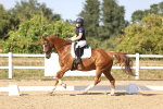 SBM_007513