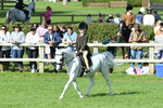 SBM_50300
