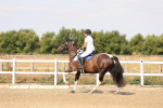 SBM_000620