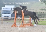 BPP_9077
