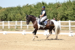 SBM_001721