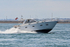 170902 BILLY BOB - SEALINE SC35 1Y3A0800_Edit