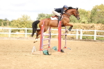 SBM_026855