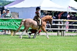 SBM_05755