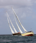 DSC_1063