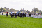240824-Race 4-Magical Zoe-1576