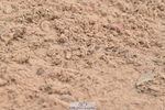 230611A-093536-04543