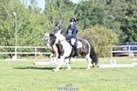 Cls 9,10 & 11 Dressage portfolio