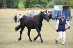WJ6_5966