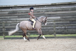 SBM_007067