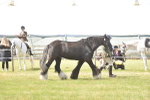 SBM_16078