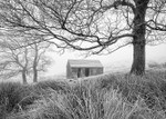 Barn and trees beneath Shutlingsloe (1)
