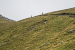 Bannerdale-124