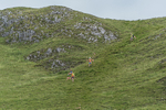Settle Hills-971