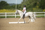 SBM_008708