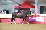 SBM_13532