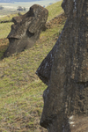 Rano Raraku