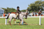 IMG_1903