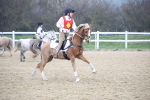 SBM_003917