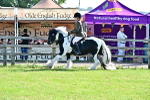SBM_11639