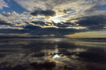 ACP_8880-1