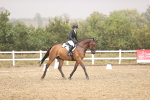 SBM_004679