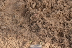 231015A-143654-08748