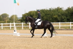 SBM_005304