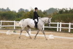 SBM_01774